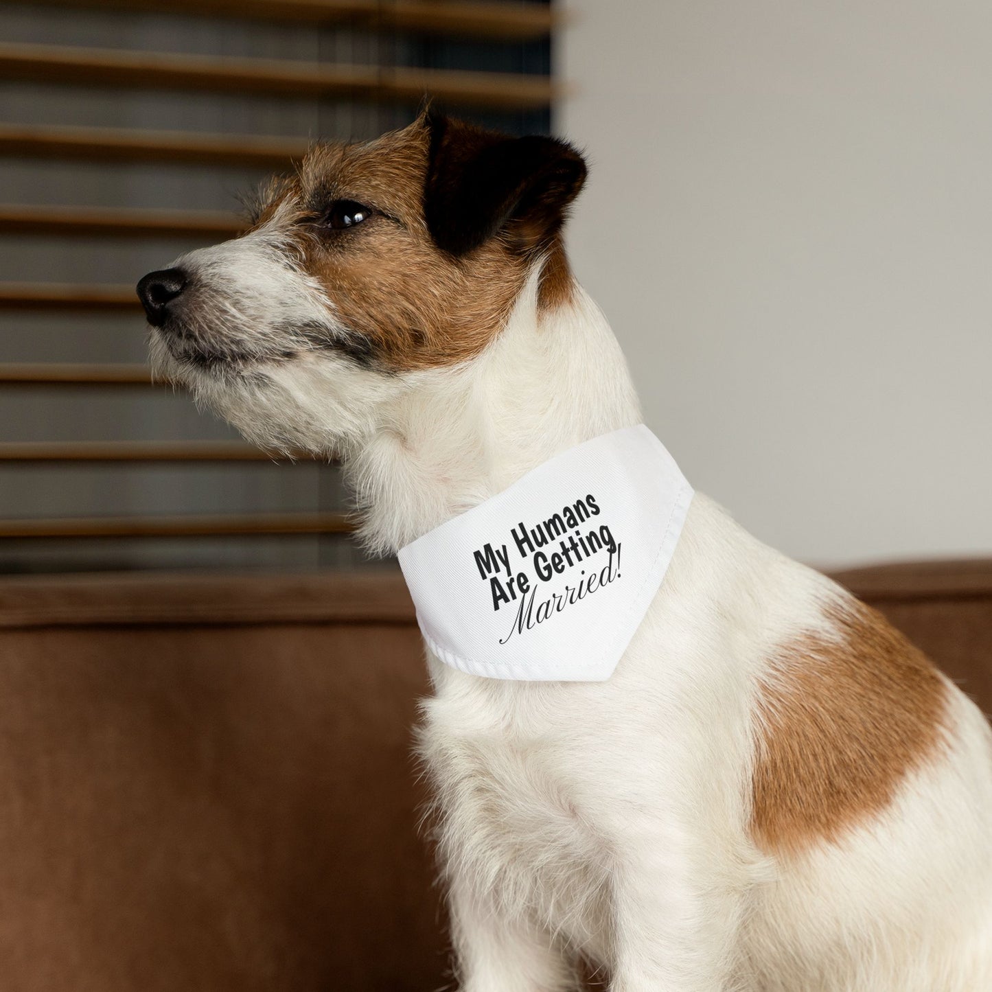 Wedding Announcement Pet Bandana Collar - 'My Humans Are Getting Married!'