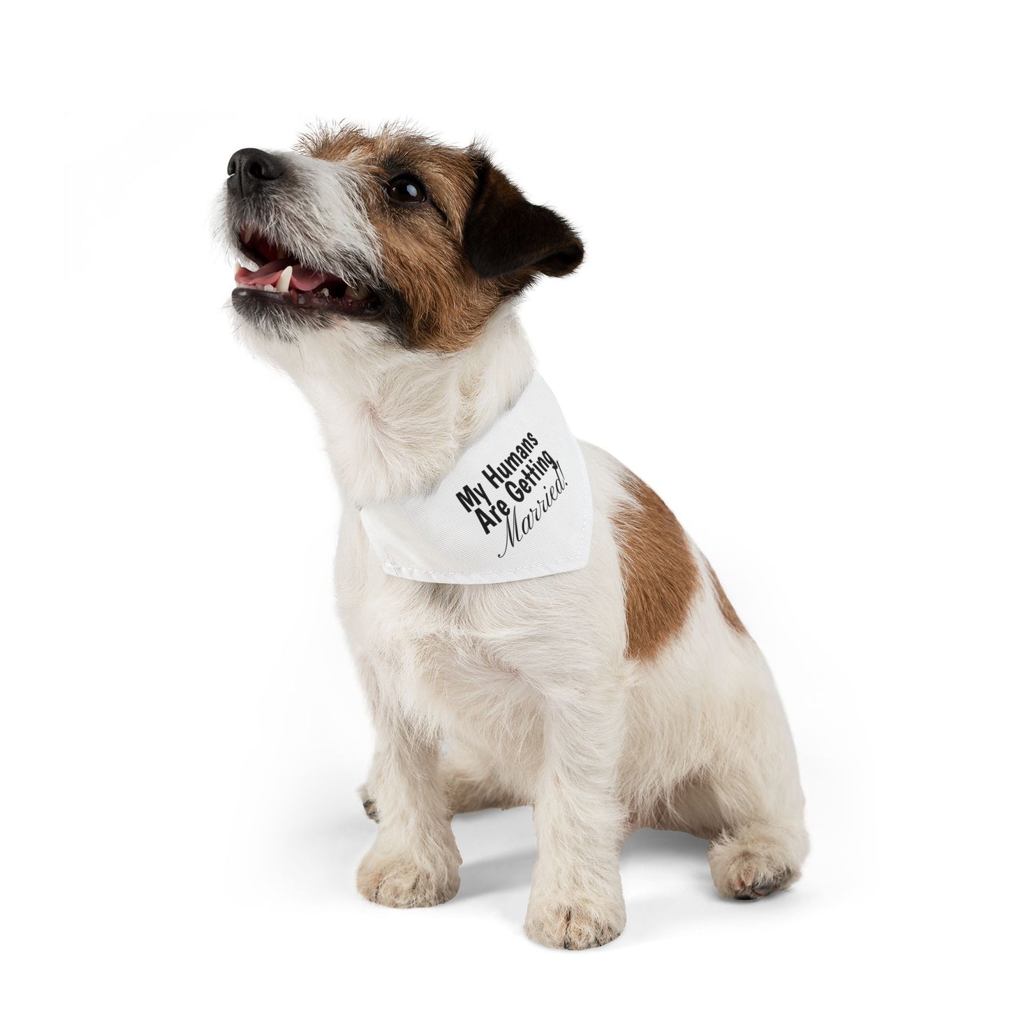 Wedding Announcement Pet Bandana Collar - 'My Humans Are Getting Married!'