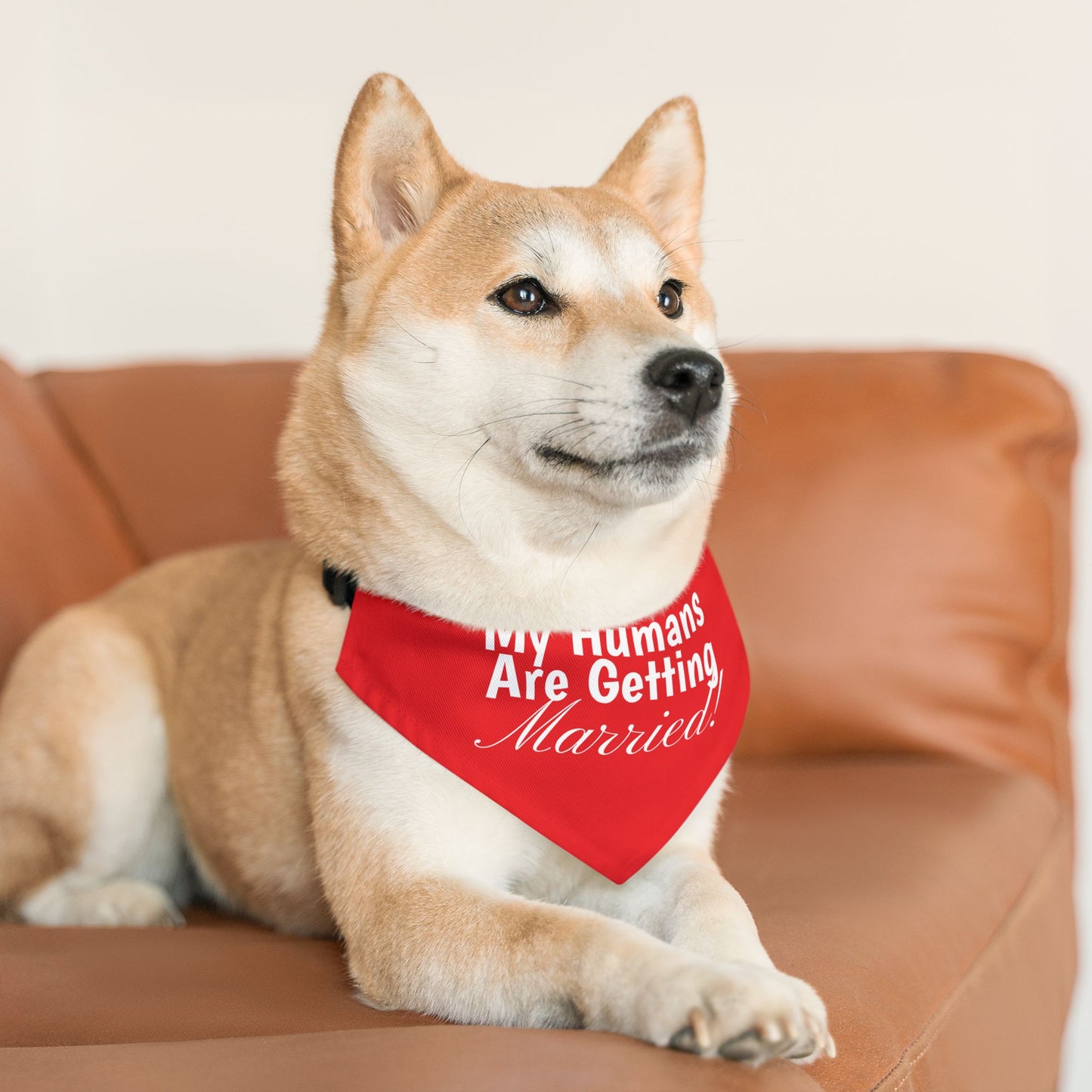 Wedding Announcement Pet Bandana Collar - 'My Humans Are Getting Married!'