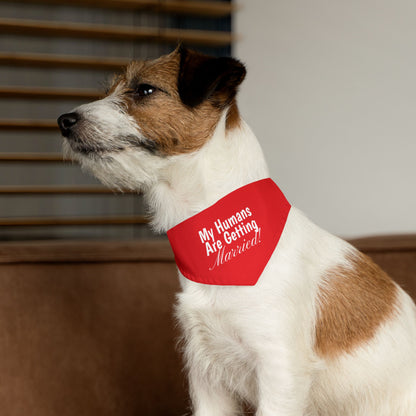 Wedding Announcement Pet Bandana Collar - 'My Humans Are Getting Married!'