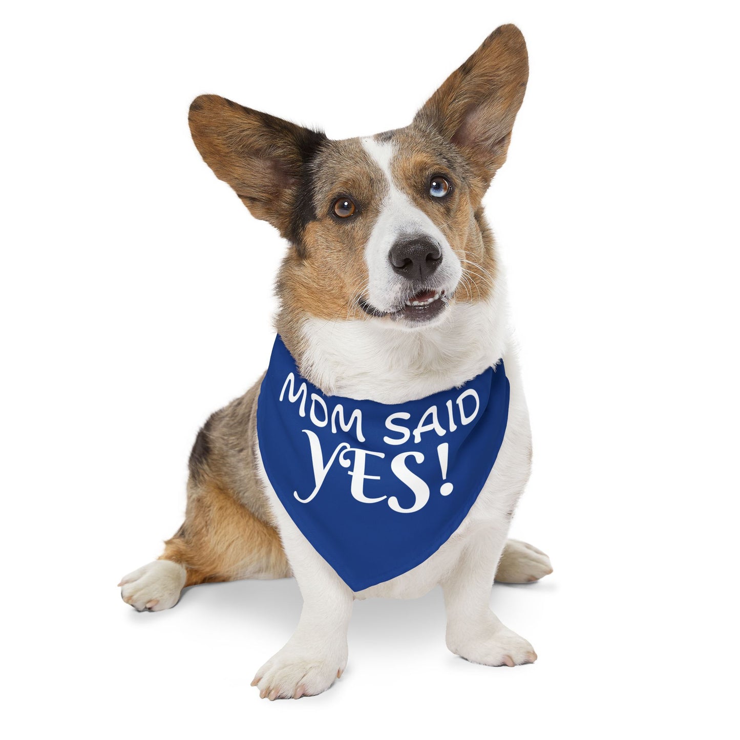 Funny Wedding Announcement - Pet Bandana Collar - "MOM SAID YES!"