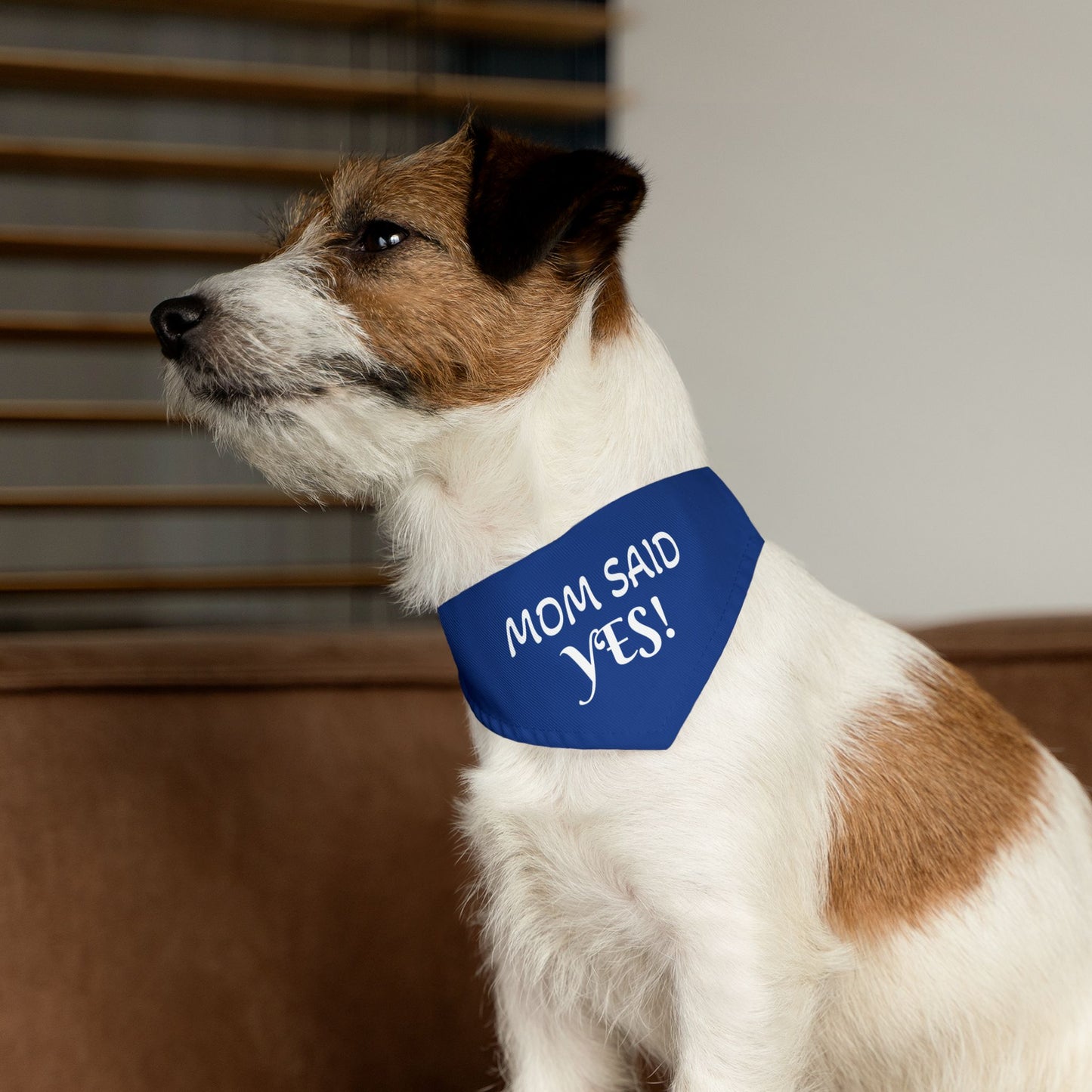 Funny Wedding Announcement - Pet Bandana Collar - "MOM SAID YES!"