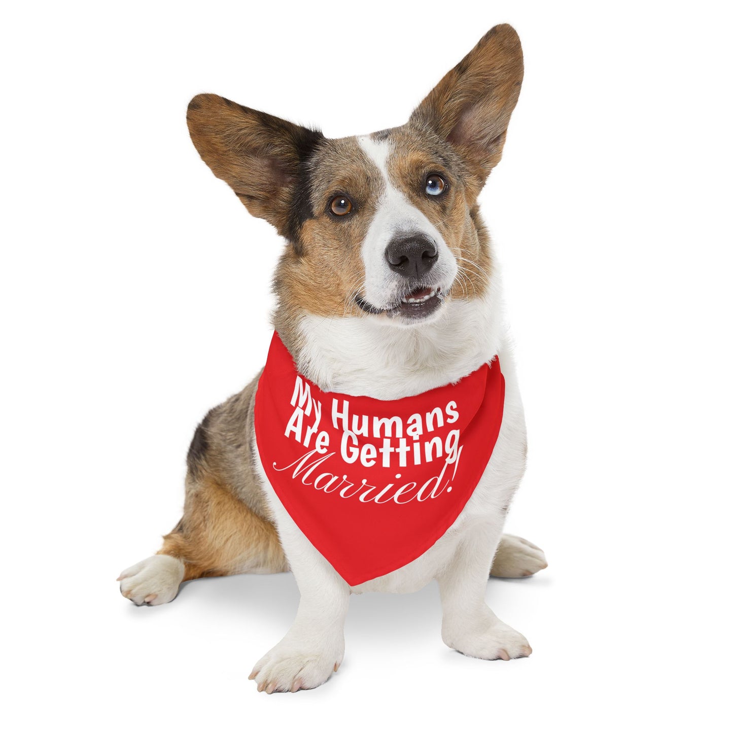 Wedding Announcement Pet Bandana Collar - 'My Humans Are Getting Married!'