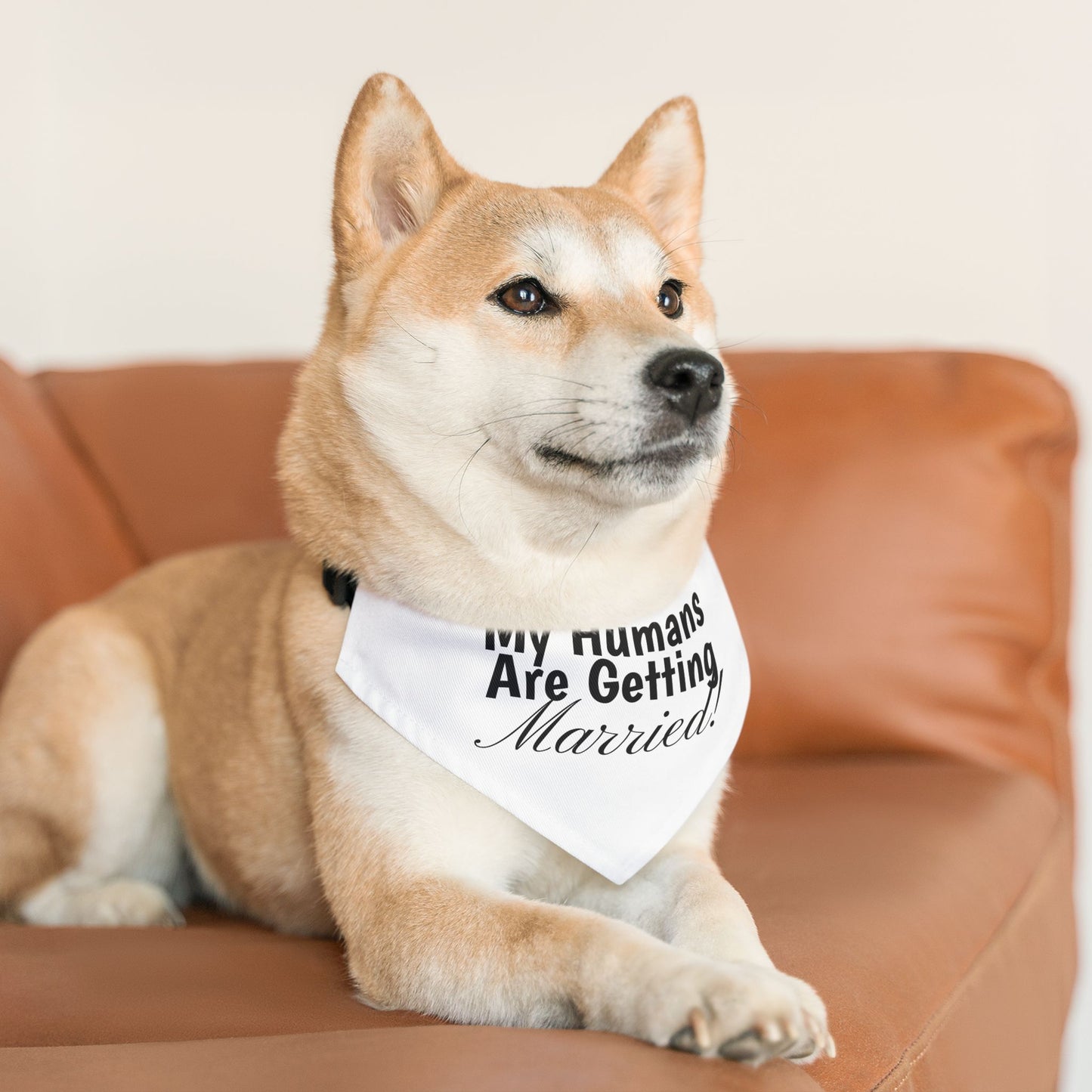 Wedding Announcement Pet Bandana Collar - 'My Humans Are Getting Married!'