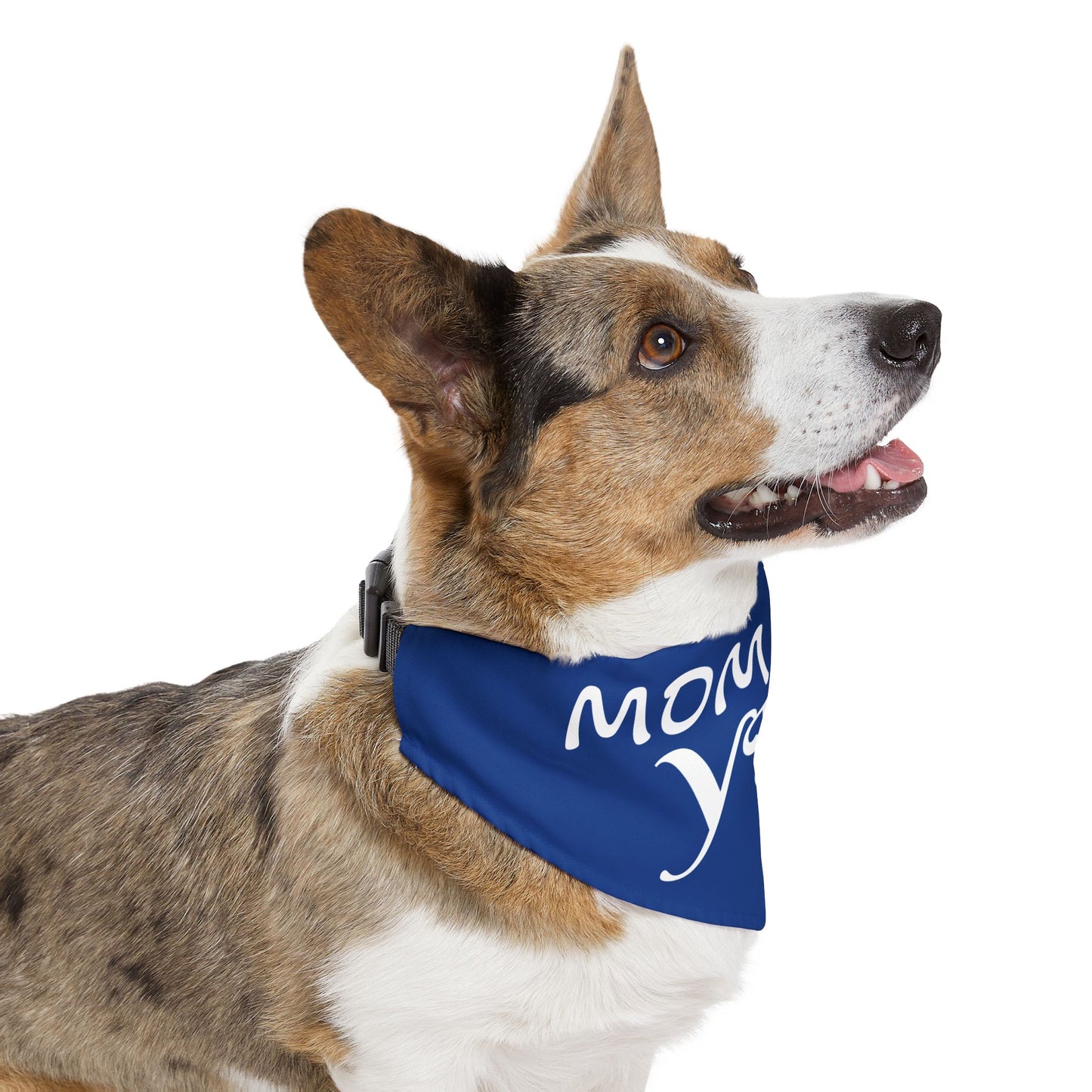 Funny Wedding Announcement - Pet Bandana Collar - "MOM SAID YES!"