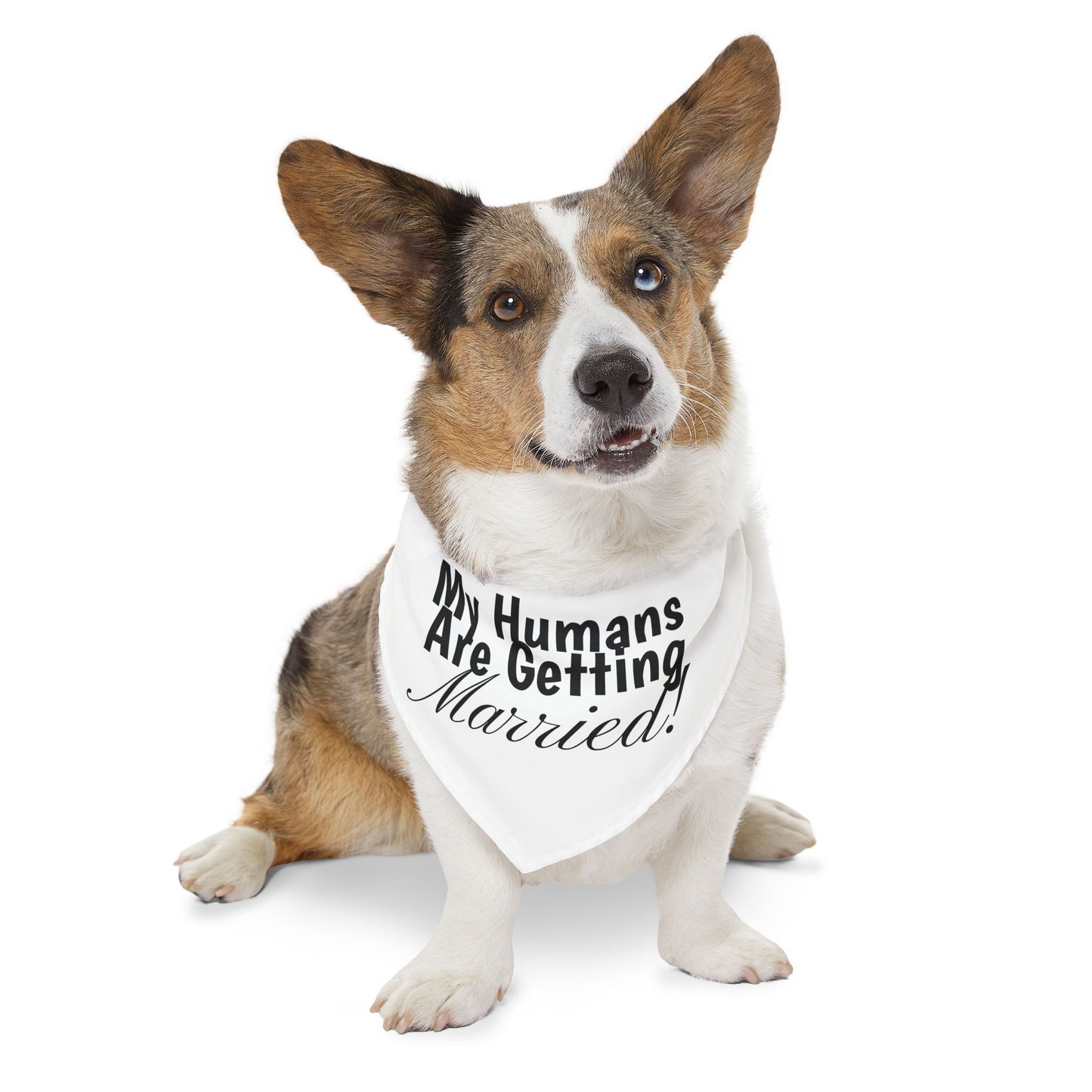 Wedding Announcement Pet Bandana Collar - 'My Humans Are Getting Married!'