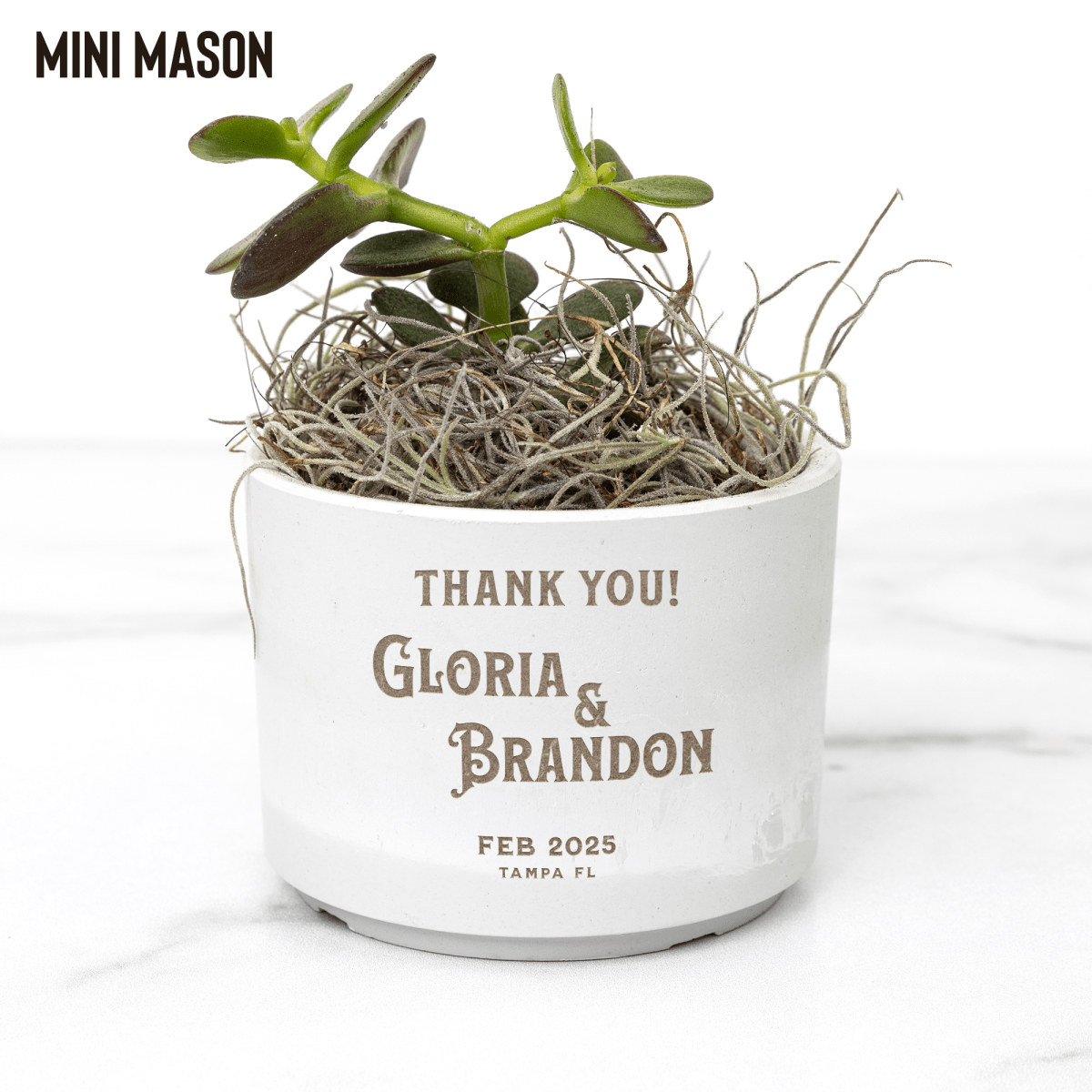 Personalized Eco - Friendly Mini Desk Plant Wedding Keepsake - My Wedding Journey